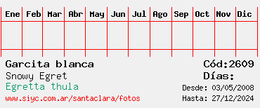 Estadisticas