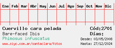 Estadisticas