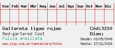 Estadisticas