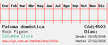 Estadisticas